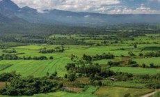 Eden Altamura